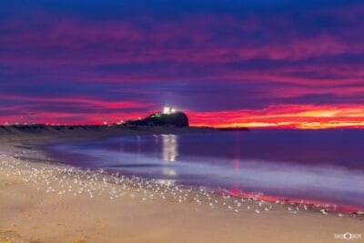 Nobbys Lighthouse at sunrise with colourful skies reflected across calm water and seagulls gathered on Nobbys Beach in Newcastle NSW.
