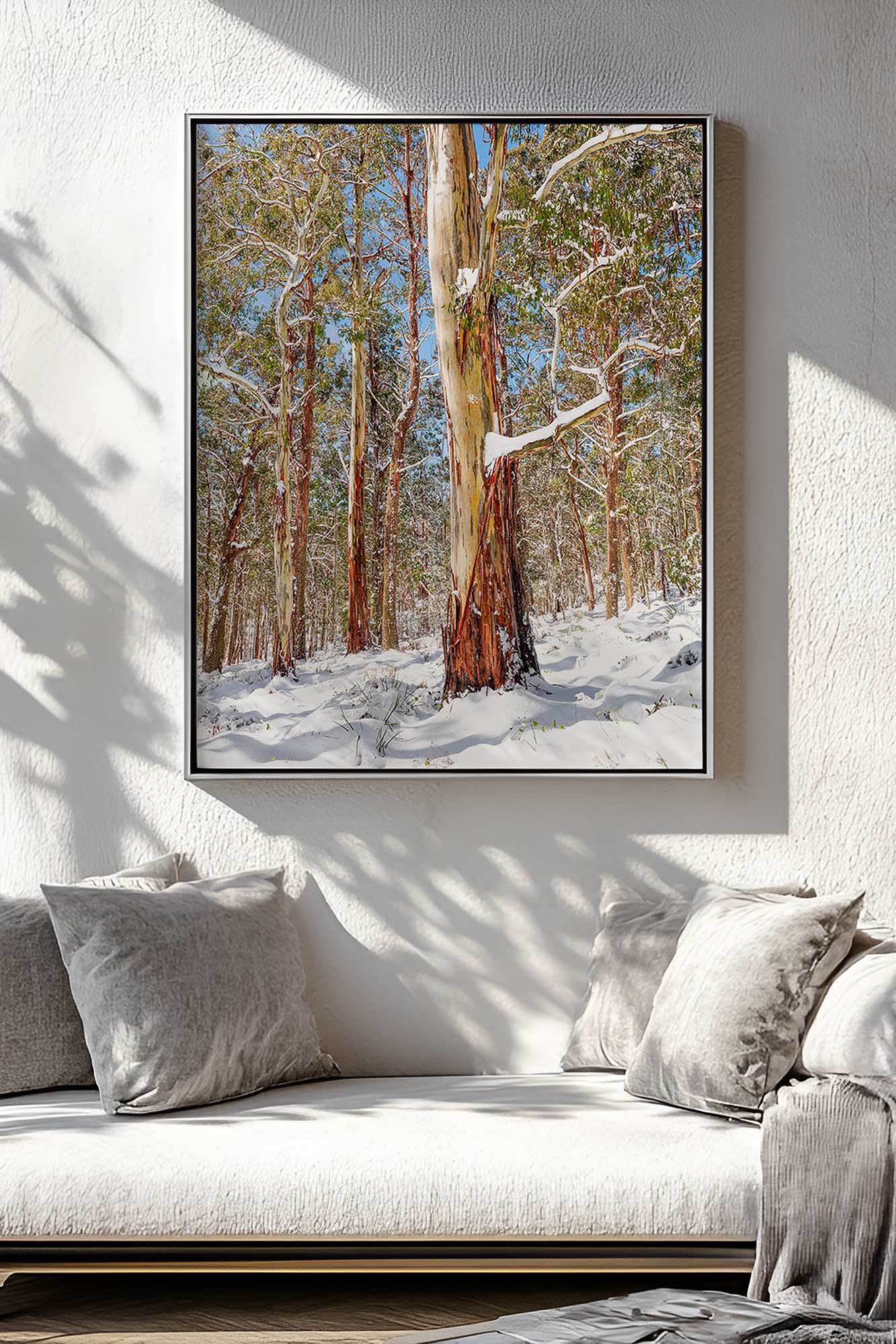 Australian landscape photography wall art print featuring snow-covered eucalyptus forest displayed in a modern interior
