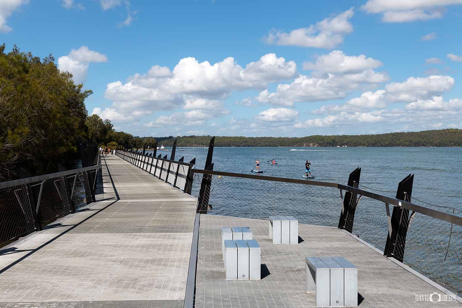 Red Bluff Boardwalk beside Lake Macquarie with paddleboarders on the water.