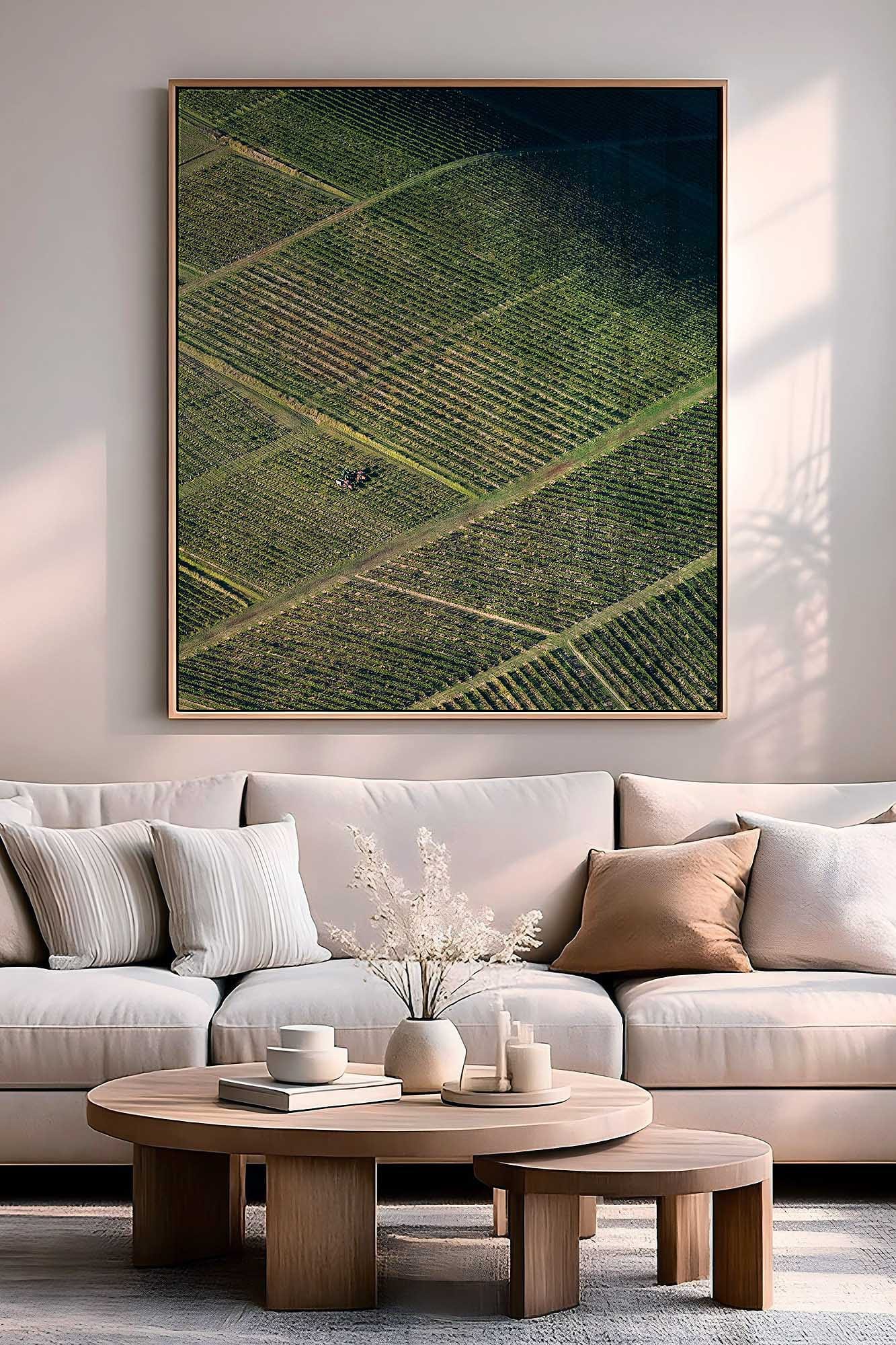 broke-vineyard-hunter-valley-aerial-photography.jpg Aerial photography of vineyards at Broke in the Hunter Valley displayed as premium wall art
