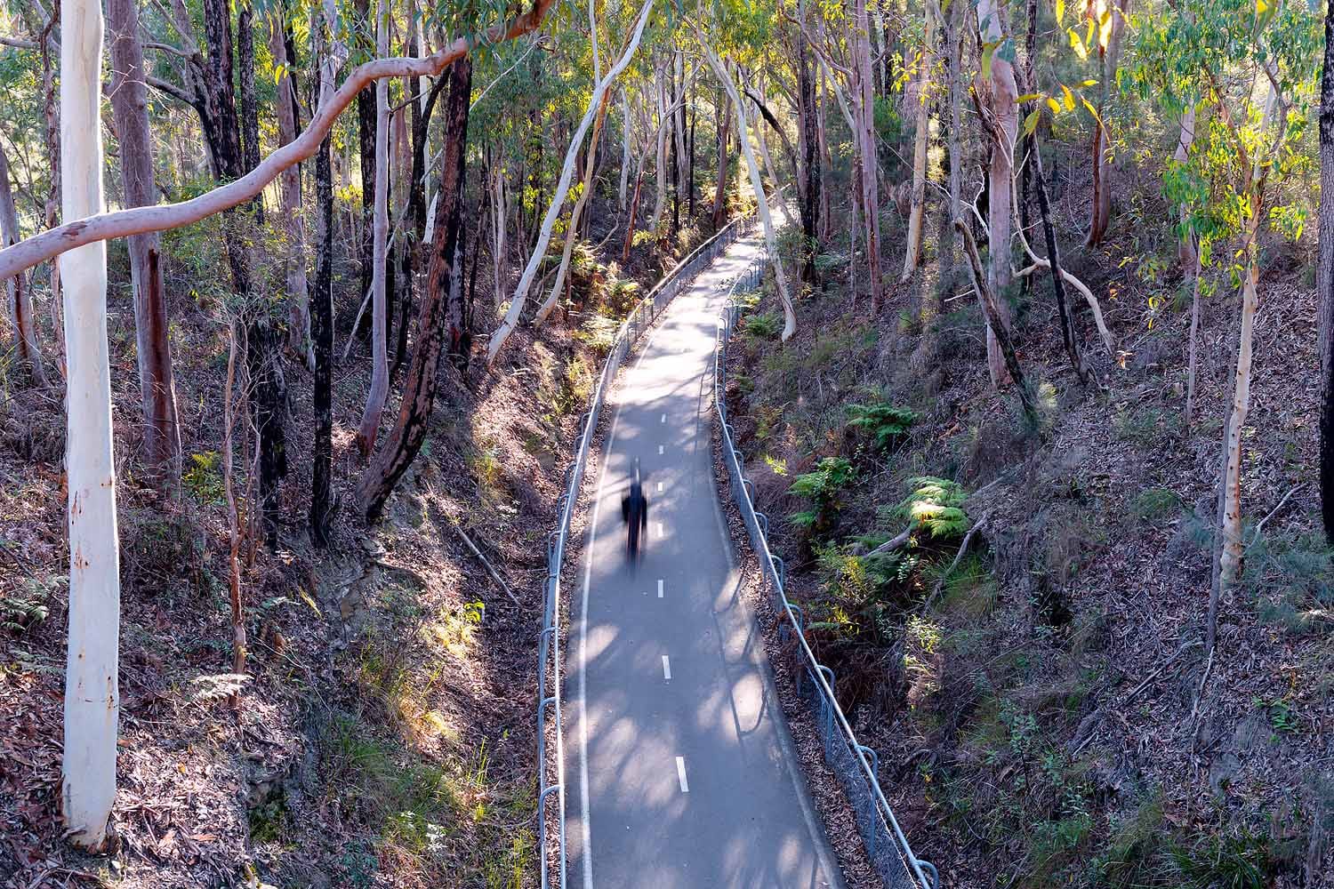 fernleigh-track-bushland-lake-macquarie.jpg Fernleigh Track winding through native bushland in Lake Macquarie NSW