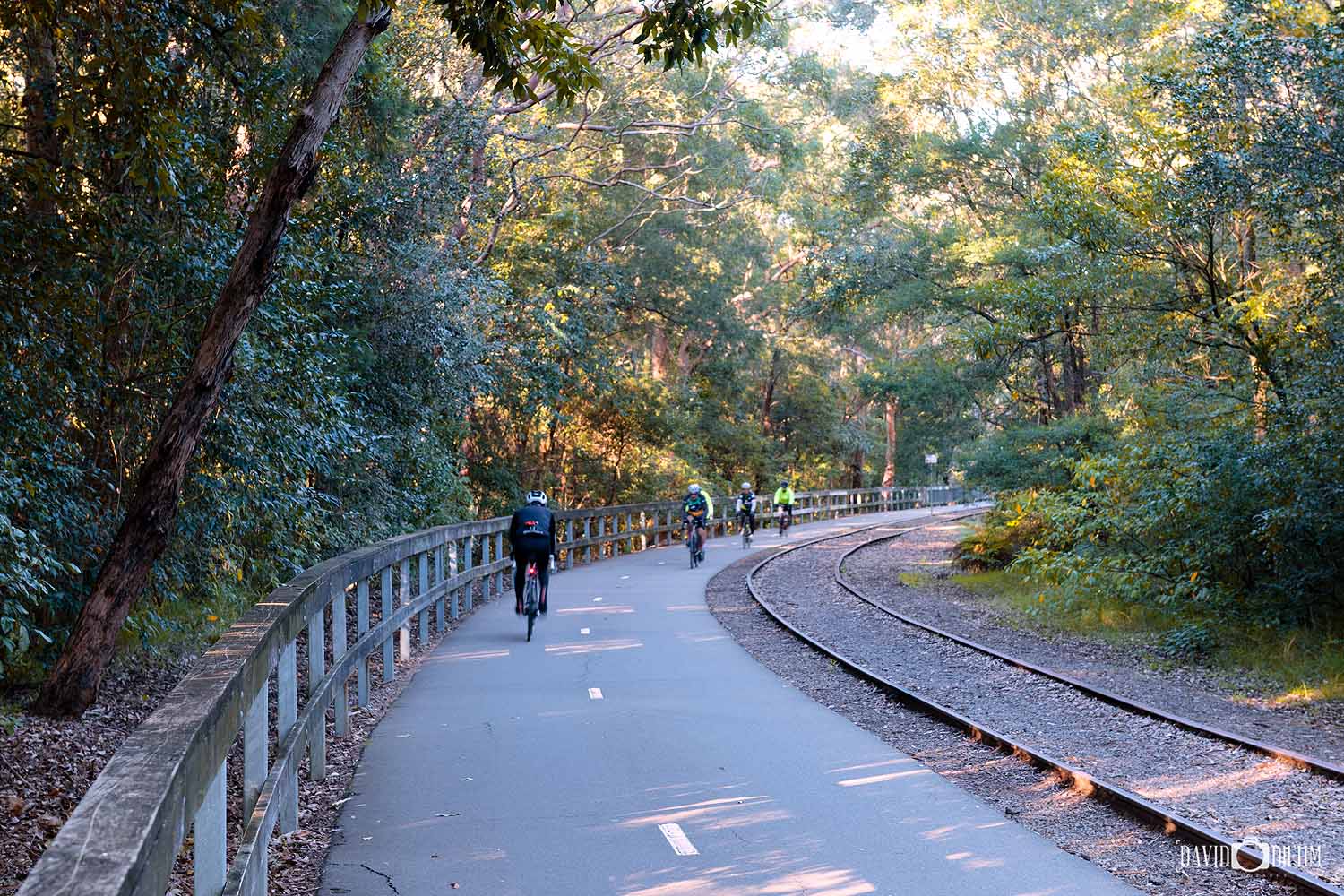 Cyclists riding the Fernleigh Track through native bushland in Lake Macquarie NSW