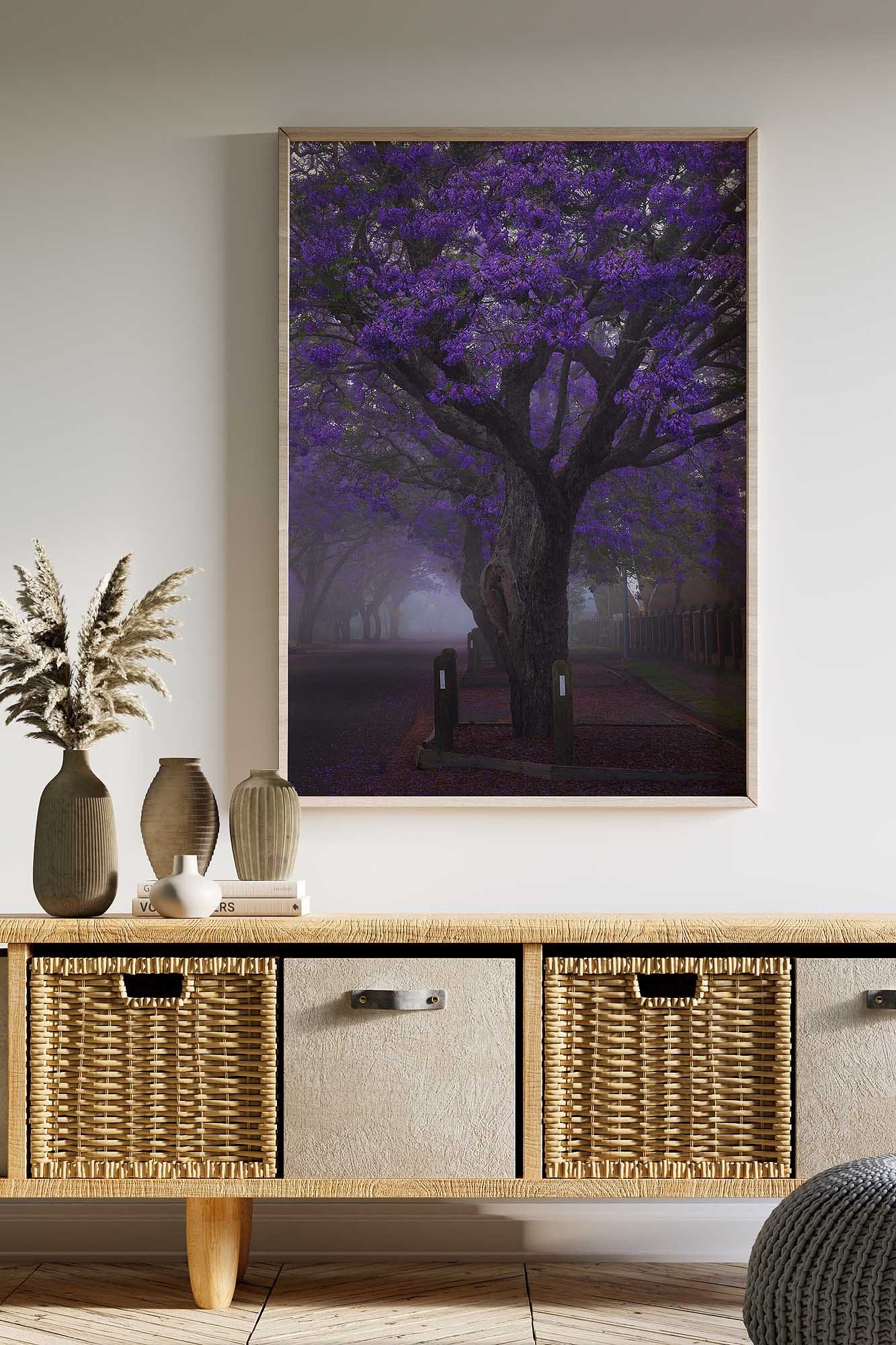 Port Stephens photography wall art print featuring a purple jacaranda tree displayed in a contemporary interior