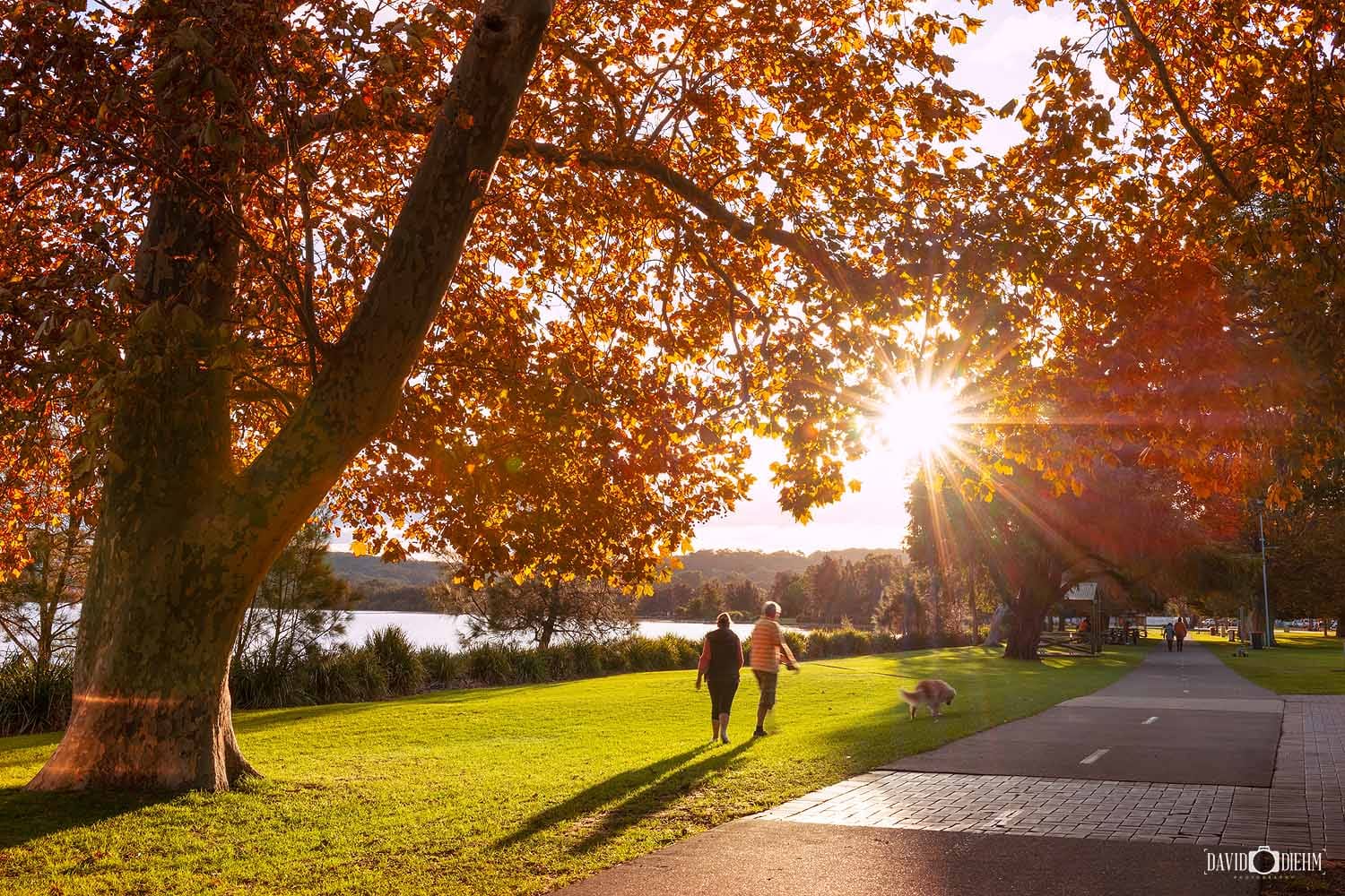 speers-point-park-lake-macquarie.jpg People walking beneath autumn trees along the waterfront at Speers Point Park in Lake Macquarie.