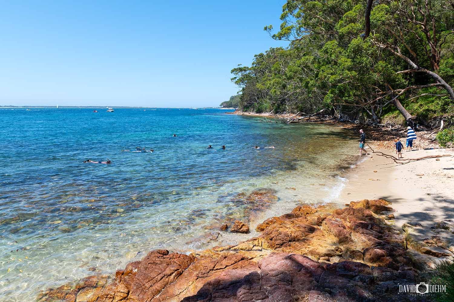 Snorkellers exploring the clear waters of Fly Point Marine Reserve in Port Stephens