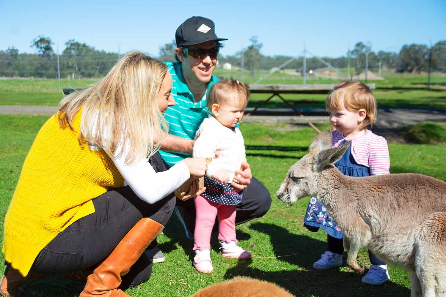 Family feeding a kangaroo at Oakvale Wildlife Park near Port Stephens